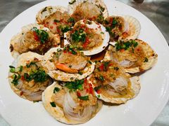 蒜蓉烤扇贝-天下春花园酒店(大东店)