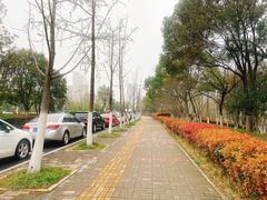 -天鹅湖体育公园