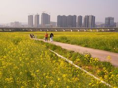 -光明小镇欢乐田园