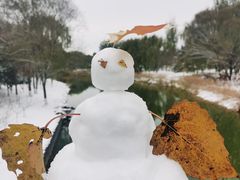 -大兴滨河森林公园