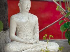 -护国法轮寺