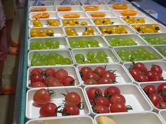 -涨巢·潮玩水疗局