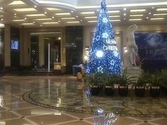 -上海浦东星河湾酒店