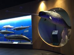 -青岛海底世界-水族馆