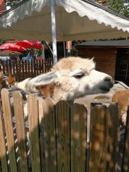 -萌宠亲子动物乐园(槐房万达店)