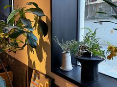 -the fall kaffe乐否咖啡