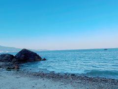 -杨梅坑