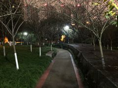 -龙头寺公园