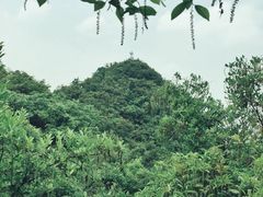 -黔灵山公园-南门售票处