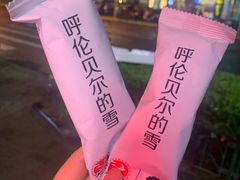 呼伦贝尔的雪-很久以前羊肉串(中山公园店)