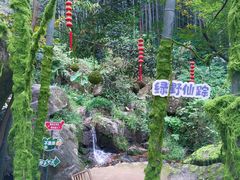 -山沟沟景区
