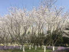 -白塘生态植物园