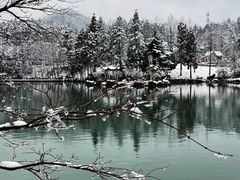 -四明山国家森林公园