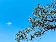 -酷鱼垂钓CLUB(朝阳区博大路店 )