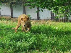 -西安秦岭野生动物园