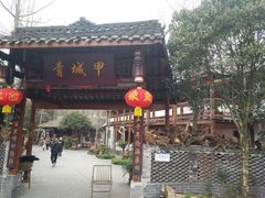 -青城甲(青城山店)