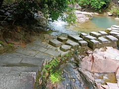 -广州白江湖森林公园