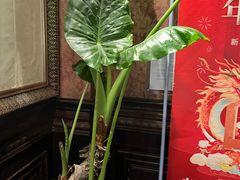 -上海1号私藏菜(静安店)