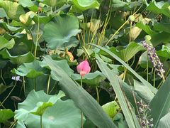 -3W咖啡(国家软件园店)