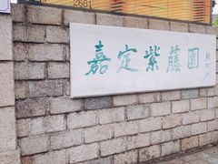-嘉定紫藤园