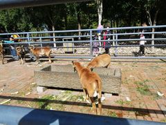 -长白岛森林公园