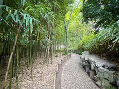 -秋霞圃