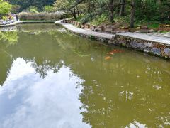 -庐山风景区花径公园