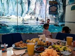 -帝企鹅自助餐厅•儿童岛•真企鹅(长隆企鹅酒店)