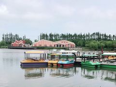 -上海长兴岛郊野公园