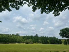 -宜兴龙背山森林公园