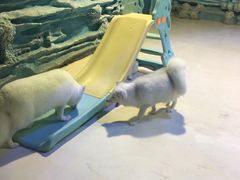 -华夏文旅海洋公园