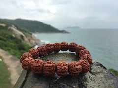 -放鸡岛生态旅游国际度假区