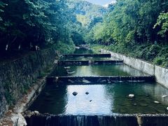 -广州白江湖森林公园