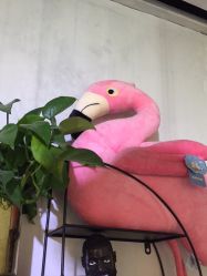 点击看大图 -东宫造型Eastern palace