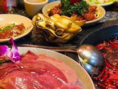 -蜀大侠火锅(建设路第五大道店)