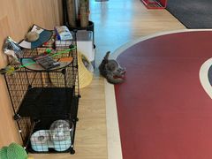 -Vamos巴猫司健身中心(五角场店)
