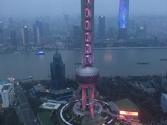 -金轩中餐厅 Jin Xuan(浦东丽思卡尔顿酒店)