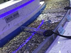-澜悦港海鲜体验主题餐厅
