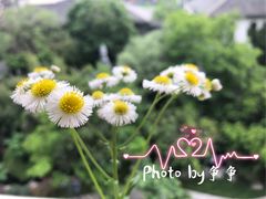 -锡师附小学(学前街校区)