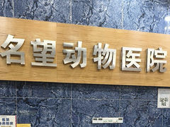 -瑞派名望24h动物医院异宠专科·猫专科·骨科·重症监护分院
