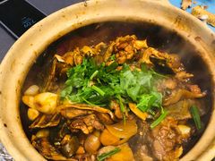 甲鱼煲-金龙·打边炉(武进路店)