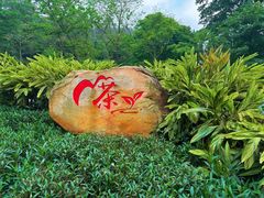 -广州市白云山风景名胜区