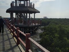 -北海金海湾红树林生态旅游区