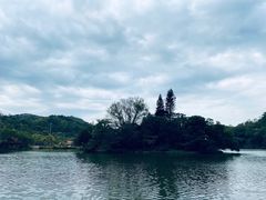 -深圳仙湖植物园