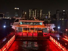 -丹东路渡口(轮渡站)