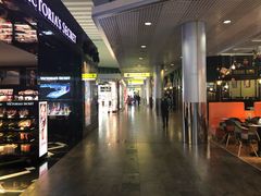 -谢列梅捷沃国际机场
