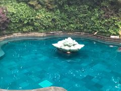 -杭州第一世界大酒店·云曼温泉
