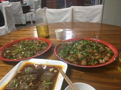 -y牌太安鱼