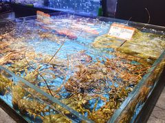 -徐记海鲜(大雁塔|金都店)