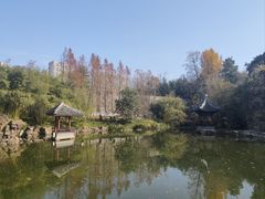 -水绘园